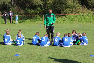 爱游戏体育APP下载-意甲赛事中应用心理暗示战术干预效果研究